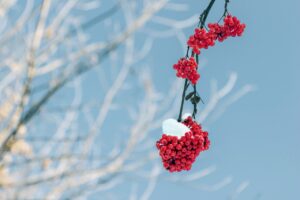 Read more about the article 용인푸르지오원클러스터파크모델하우스 완전 정복